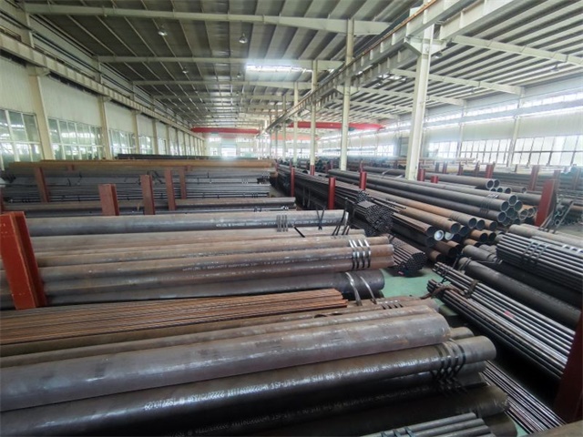 1769225683958219.jpg